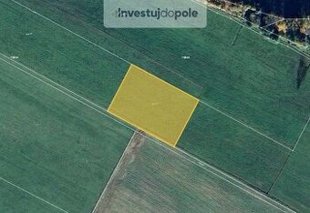 Prodej pole 5 541 m², Nové Hrady - Štiptoň
