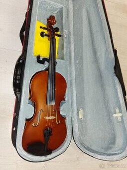 🎻