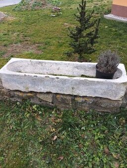 Betonové koryto, betonový květináč