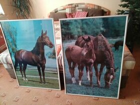 Plakáty koní