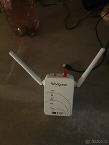 Repeater - 1
