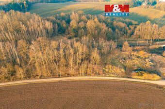 Prodej louky, 4637 m², Rudoltice