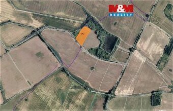 Prodej pole, 8153 m², Mašťov-Dobřenec - 1