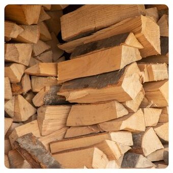 Prodám palivové dřívý