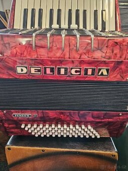 Akordeon Delicia Junior