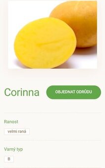 Brambory