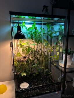 Nabízím k prodeji terárium vhodné pro chameleona