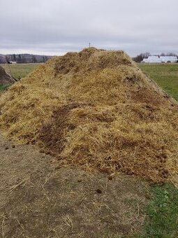 Koňský hnůj - zdarma