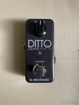 Ditto Looper