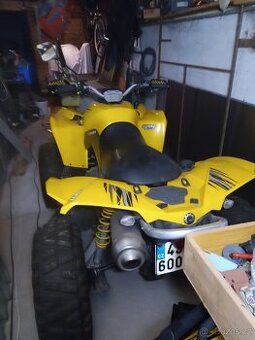 Can am renegade 800