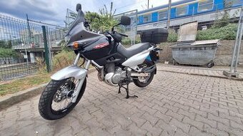 Suzuki XF 650 Freewind