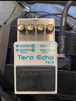 Boss tera echo te-2