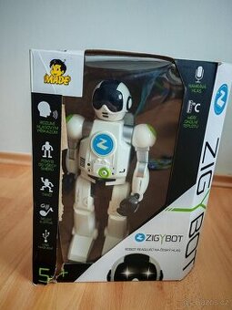 Zigy robot