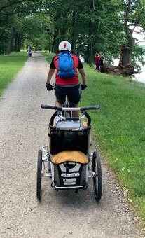 Thule Chariot