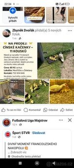 Čínské kačenky