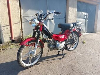 Betka (Champ) čerstvá STK