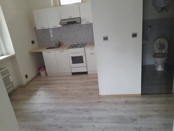 Pronájem 1+1 40 m2