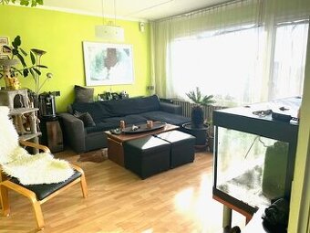 Prodej bytu 3+1 Brno, ul. Havelkova - 1