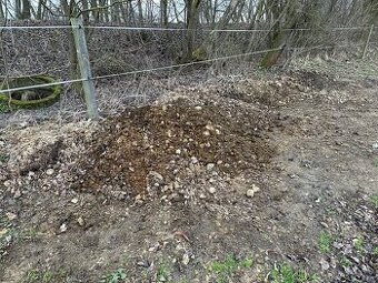 Koňský hnůj čisté bobky