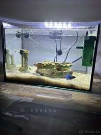 Akvárium pro ryby 10l + vybavení - 1