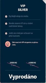 FM city fest VIP silver