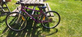 🚴‍♀️ Unisex kolo 24" – Amulet (funkční, pojízdné)