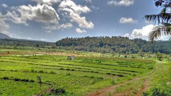 Prodej stav. pozemku na ostrově Bali - Indonésie