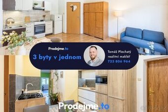 Prodej bytu se 3 jednotkami, 122 m2 - Znojmo, Palackého