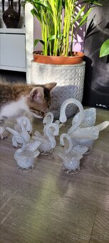 Porcelánové skleněné labutě 5+1