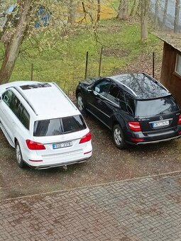 Mercedes 350 GLS x166 7 mist