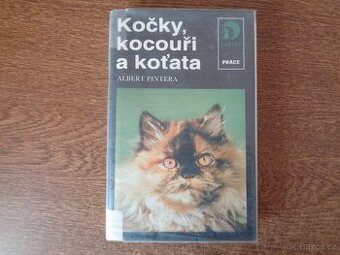 Kočky, kocouři a koťata