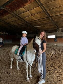 Predam pony kobylku- do rodiny, k detom