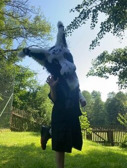 Drak fursuit hlava