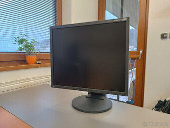 Monior EIZO FLEXSCAN S1931