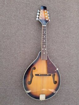 Mandolína  ANDY STONEWOOD