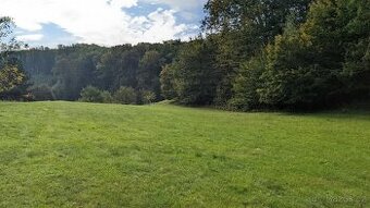 Pronájem louky 5000 m2 - 1