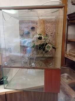 Terárium (chameleon,agama...)