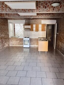 Pronájem bytu 1+kk - přízemí - 1