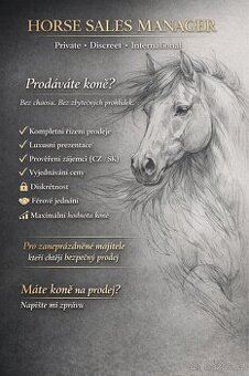 HorseSalesManager