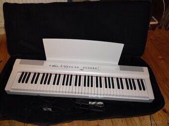 Yamaha P121