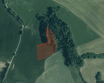 Zemědělská půda, prodej, Jindřichovice, Kolinec, Klatovy