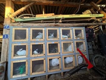 Spěcha-Prodám králíkárnu