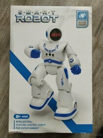 Smart robot ROBIN (30cm)