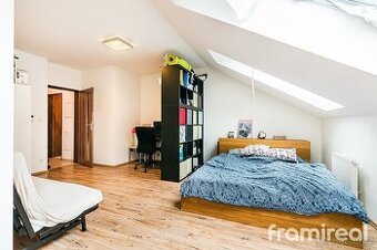 Pronájem bytu 1+kk, 35m2 - Brno - Staré Brno, ev.č. 01758