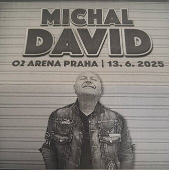 Michal David 02 arena v pátek 13. června 2025