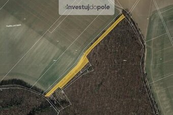 Prodej pole v k.ú. Černčín