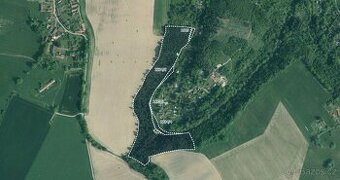 Les, prodej, Dolní Stropnice, Římov, České Budějovice