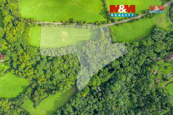 Prodej pastviny s lesním pozemkem 22.174 m² v Homoli u Panny - 1