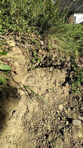 Zemina, hlína, zásypová půda