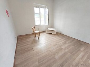 Byt 1+1, Krásné Březno, možnost zahrady
